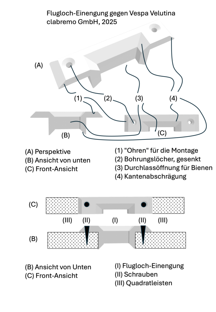 Zur Konstruktion der Vespa velutina Flugloch Einengung